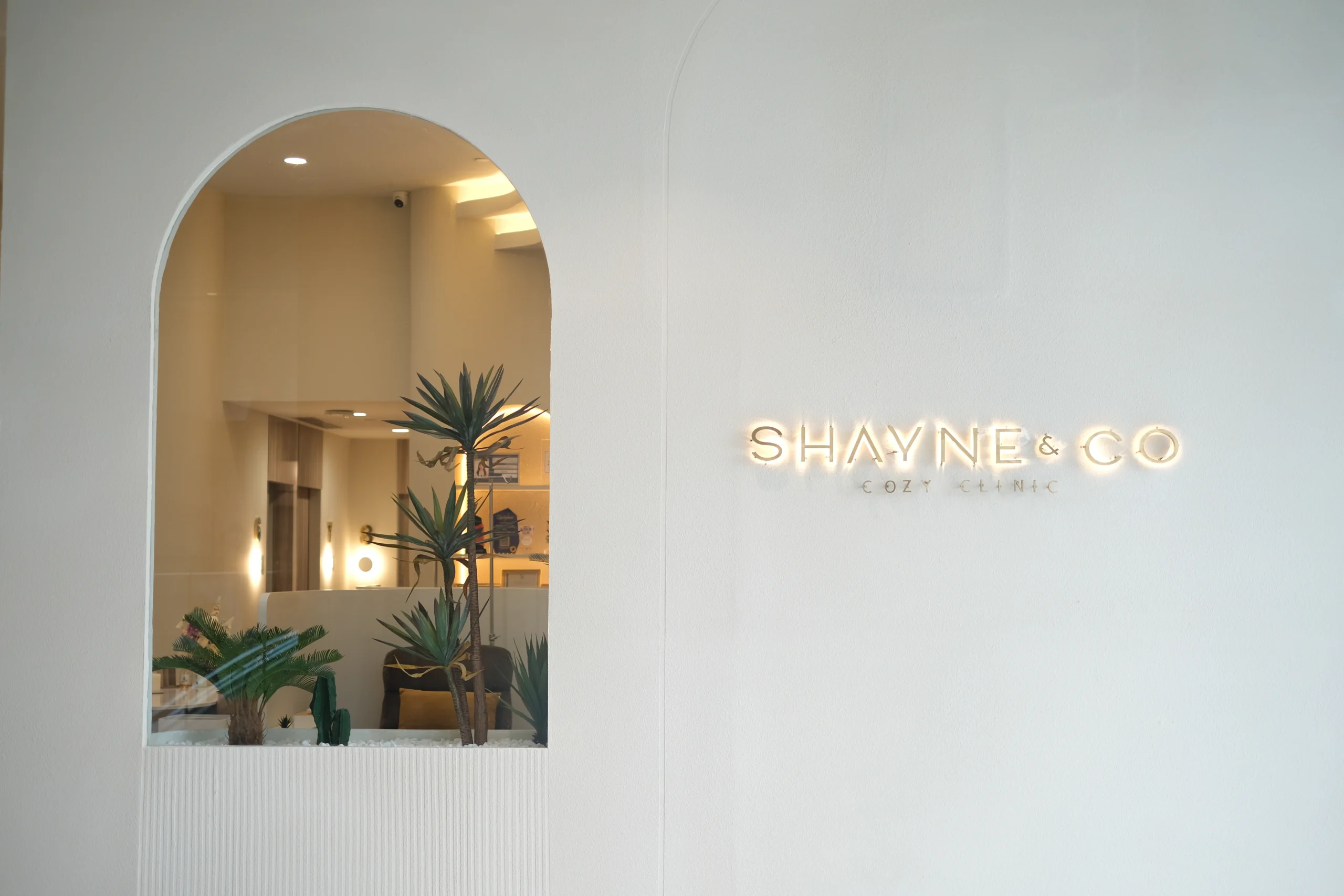 Shayne & Co. Clinic interior